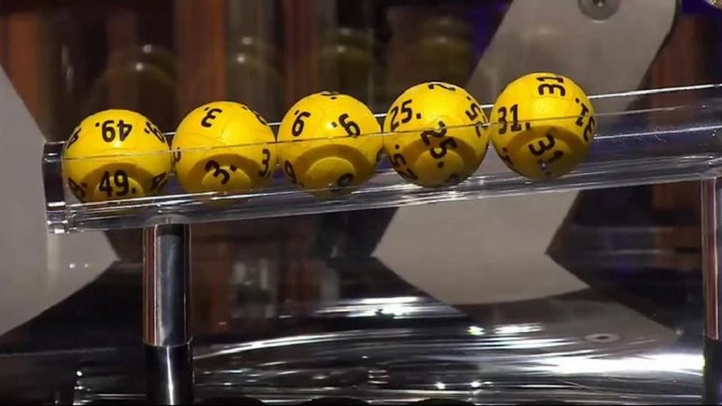 Trực Tiếp Đá Gà Thomo: Hòa Mình Vào Thế Giới Đam Mê